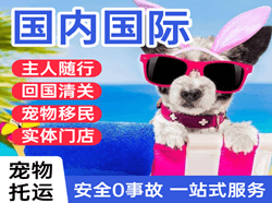 萨尔图机场邮寄国际宠物托运 【国